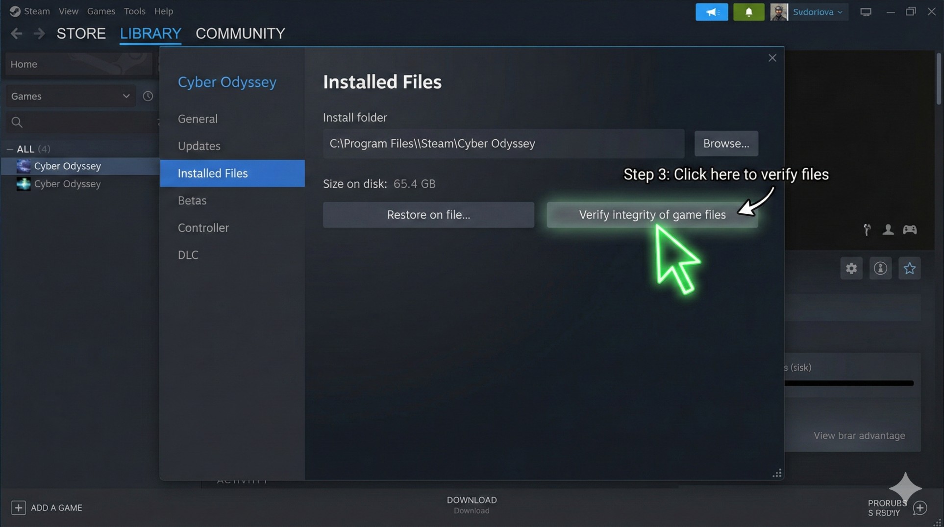 Steam settings menu showing Verify Integrity of Game Files button